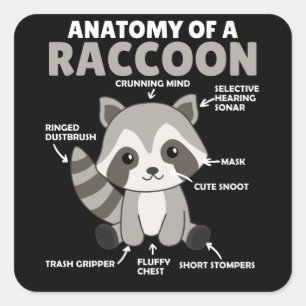 Sweet Raccoon-anatomie van een raket Vierkante Sticker
