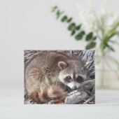 Sweet Raccoon Briefkaart (Staand voorkant)