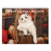 Sweet Ragdoll Kittens Kalender (Hoes)
