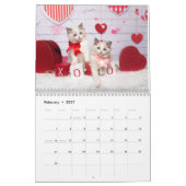 Sweet Ragdoll Kittens Kalender (Feb 2027)