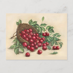 Sweet Red Cherries Briefkaart