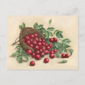 Sweet Red Cherries Briefkaart (Voorkant)