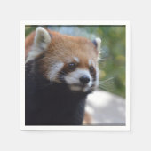Sweet Red Panda Beer Servetten (Voorkant)