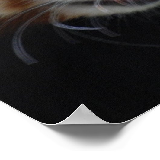 Sweet Red Panda Poster (Hoek)