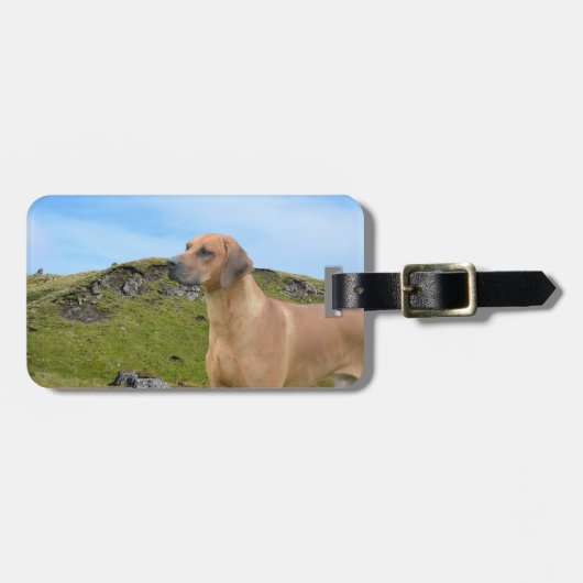 Sweet Rhodesian Ridgeback Dog Bagagelabel (Voorkant horizontaal)