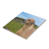 Sweet Rhodesian Ridgeback Dog Tegeltje (Zijkant)