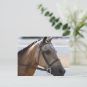 Sweet Roan Pony Briefkaart (Staand voorkant)