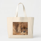 Sweet Ruby Cavalier King Charles Spaniel Grote Tote Bag (Voorkant)