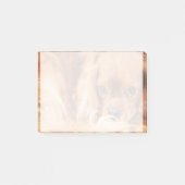Sweet Ruby Cavalier King Charles Spaniel Post-it® Notes (Voorkant)
