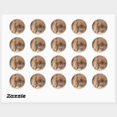 Sweet Ruby Cavalier King Charles Spaniel Ronde Sticker (Vel)