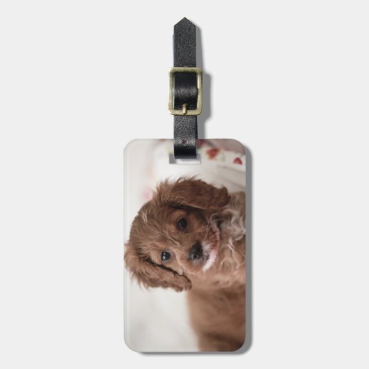 Sweet Ruby Cavapoo Puppy Dog Bagagelabel (Voorkant verticaal)