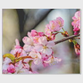 Sweet Sakura Flowers in Springtime Cadeaupapier (Vlak)
