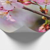 Sweet Sakura Flowers in Springtime Cadeaupapier (Hoek)