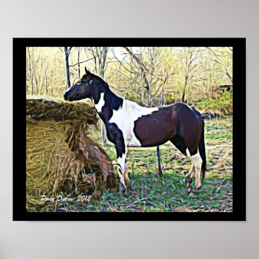 Sweet Samara Poster (Voorkant)