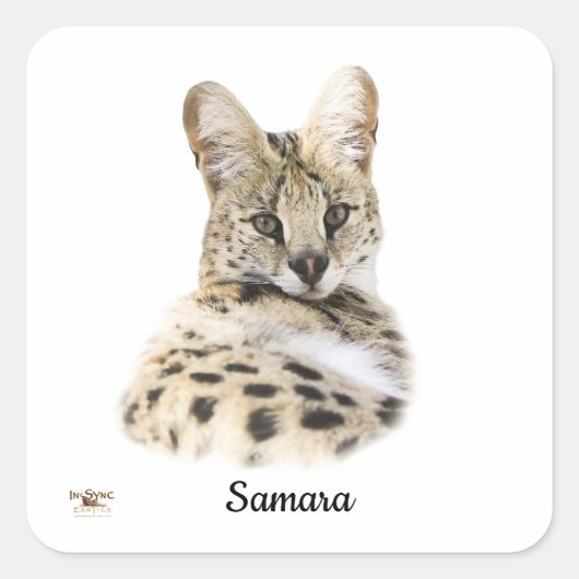 Sweet Samara Vierkante Sticker (Voorkant)