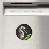 Sweet Seahorse Magneet (Insitu (Vaatwasser))
