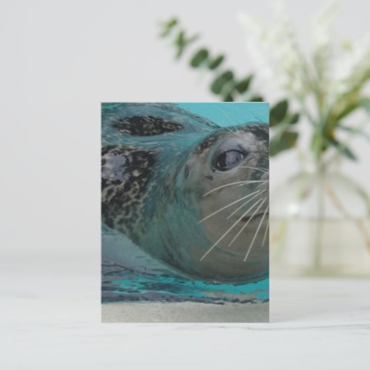 Sweet Seal Briefkaart (Staand voorkant)
