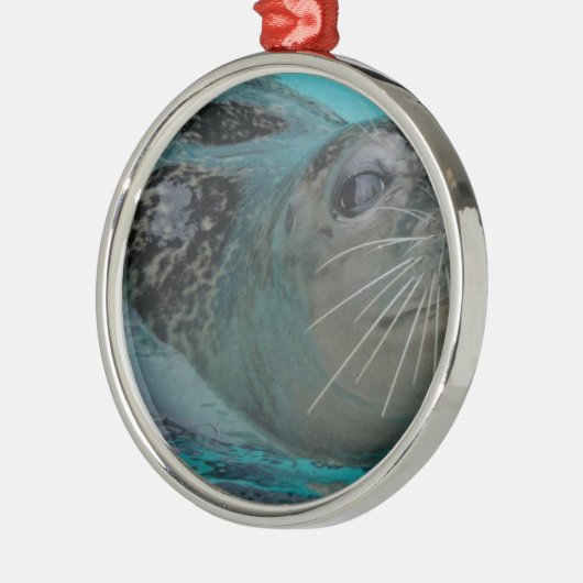 Sweet Seal Metalen Ornament (Links)