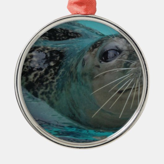Sweet Seal Metalen Ornament (Voorkant)