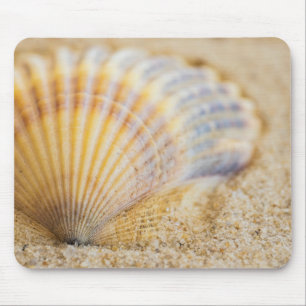 Sweet Seashell Muismat