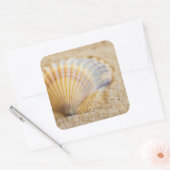 Sweet Seashell Vierkante Sticker (Envelop)