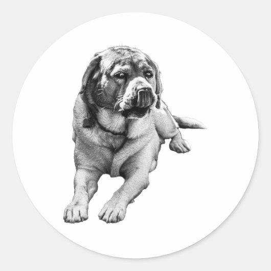 Sweet Season Mood Ronde Sticker (Voorkant)
