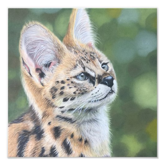 Sweet Serval Foto Afdruk (Voorkant)