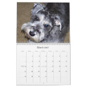 sWEET sHAMUS door de dagZ Kalender (Mar 2027)