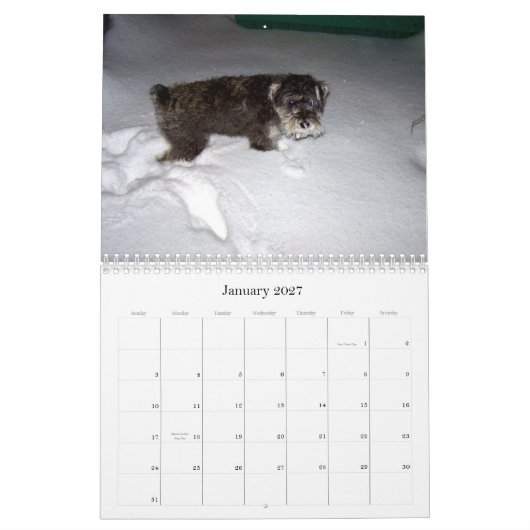 sWEET sHAMUS door de dagZ Kalender (Jan 2027)