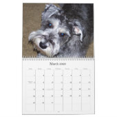 sWEET sHAMUS door de dagZ Kalender (Mar 2026)