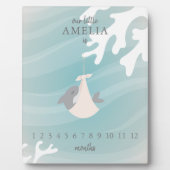 Sweet Shark Baby Milestone Fotoplaat (Voorkant)