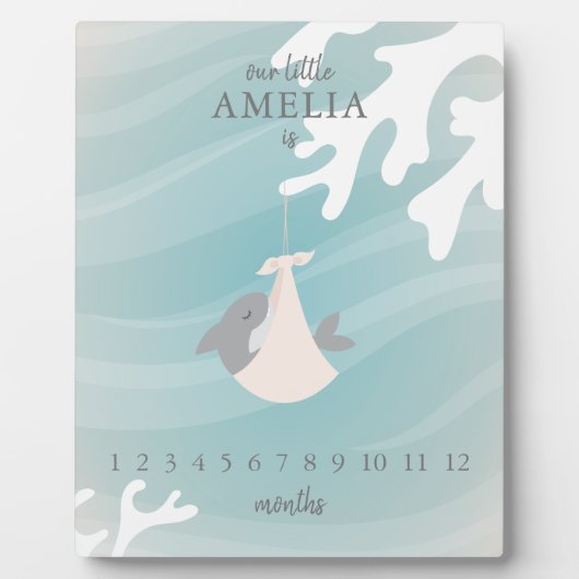 Sweet Shark Baby Milestone Fotoplaat (Voorkant)