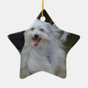 Sweet Sheepdog Keramisch Ornament