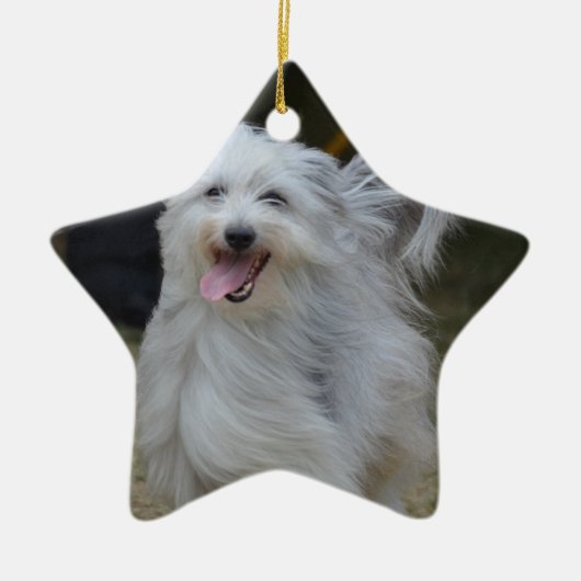 Sweet Sheepdog Keramisch Ornament (Voorkant)