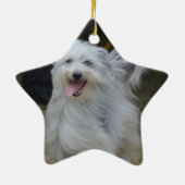Sweet Sheepdog Keramisch Ornament (Achterkant)