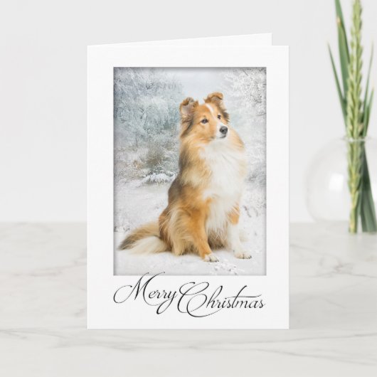 Sweet Sheltie Christmas Kaart (Voorkant)
