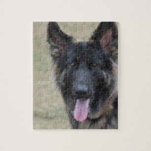 Sweet Shiloh Shepherd Legpuzzel