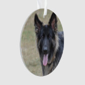 Sweet Shiloh Shepherd Ornament (voorkant)