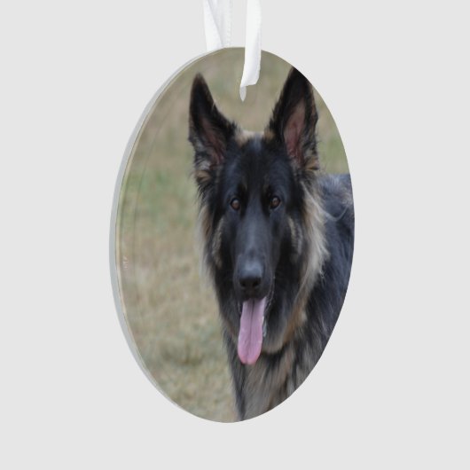Sweet Shiloh Shepherd Ornament (voorkant)