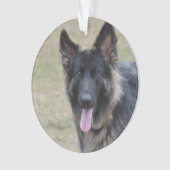 Sweet Shiloh Shepherd Ornament (voorkant)
