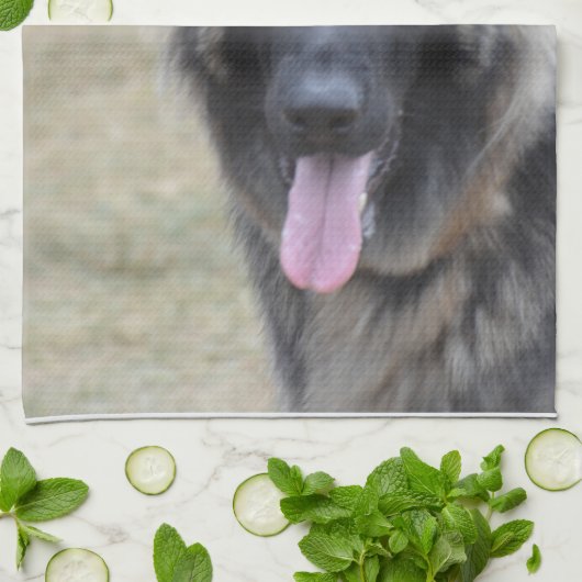 Sweet Shiloh Shepherd Theedoek (Gevouwen)