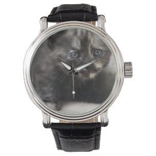 Sweet Shy Tortoiseshell Baby Horloge