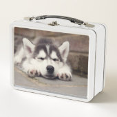 Sweet Siberian Husky Puppy Slapeping (Voorkant)