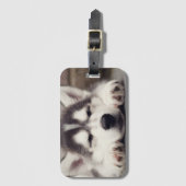 Sweet Siberian Husky Puppy Slapeping Bagagelabel (Voorkant (verticaal))