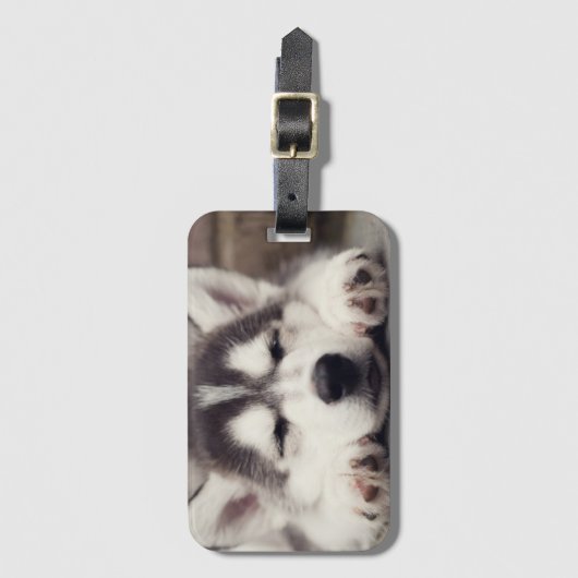 Sweet Siberian Husky Puppy Slapeping Bagagelabel (Voorkant (verticaal))
