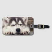 Sweet Siberian Husky Puppy Slapeping Bagagelabel (Voorkant (horizontaal))