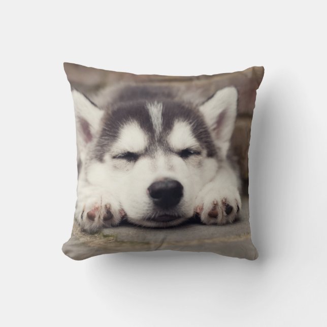 Sweet Siberian Husky Puppy Slapeping Kussen (Voorkant)