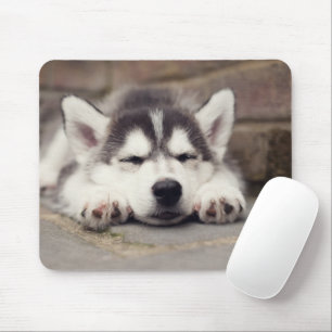 Sweet Siberian Husky Puppy Slapeping Muismat