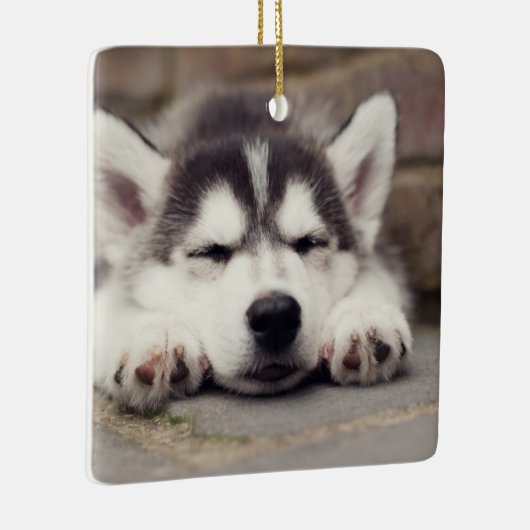 Sweet Siberian Husky Puppy Sleeping Keramisch Ornament (Rechts)