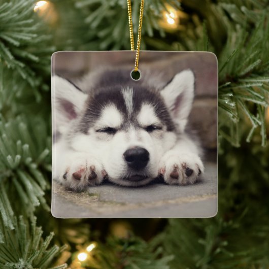 Sweet Siberian Husky Puppy Sleeping Keramisch Ornament (Boom)